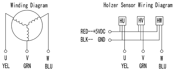 three phase bldc